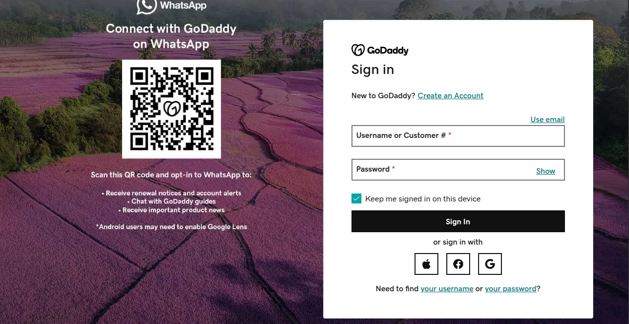 GoDaddy DNS console